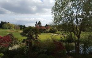 Golf du Haras Lupin (92) - Sortie amicale