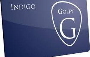 E-Carte Golfy Indigo